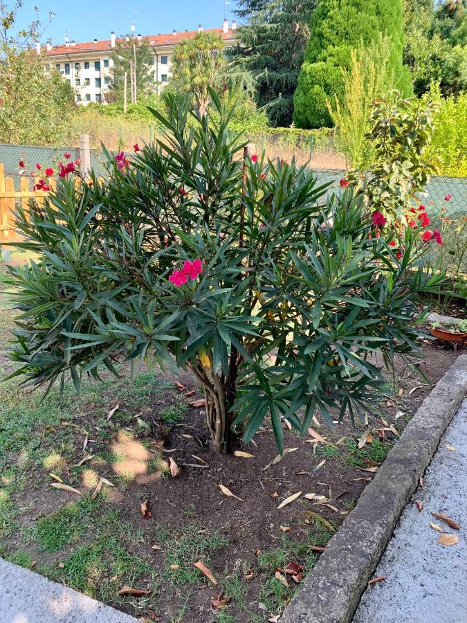 A Casa Vermella Con Jardin A 10 Minutos De Santiago De Compostela Apartment Ortono Bagian luar foto